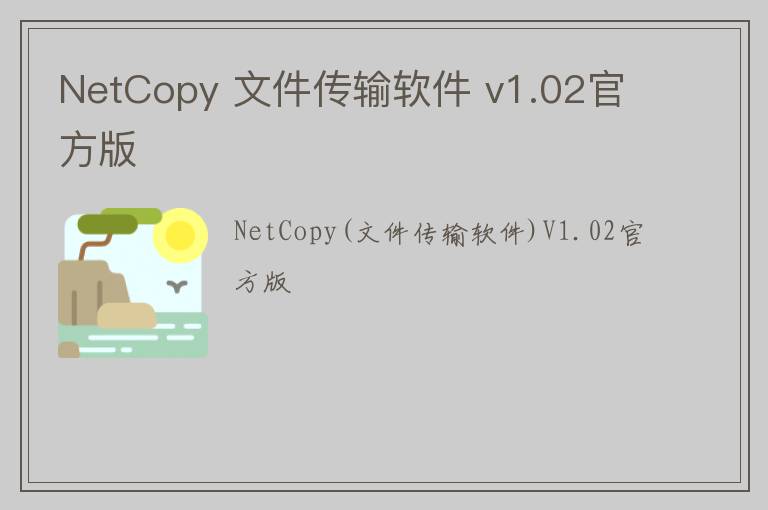 NetCopy 文件传输软件 v1.02官方版