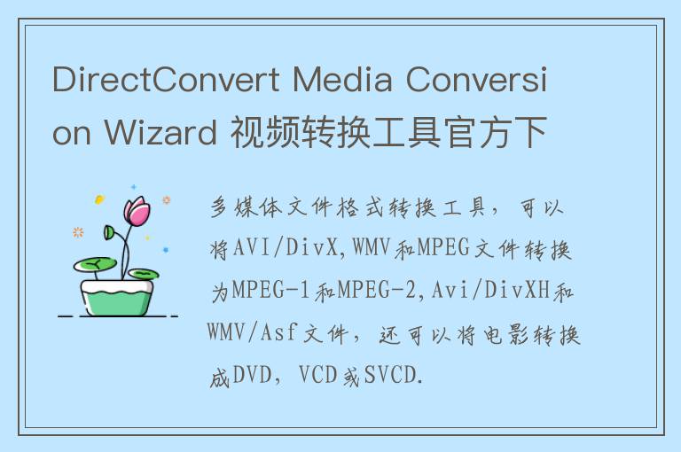 DirectConvert Media Conversion Wizard 视频转换工具官方下载 v1.0.0官方版