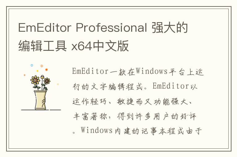 EmEditor Professional 强大的编辑工具 x64中文版