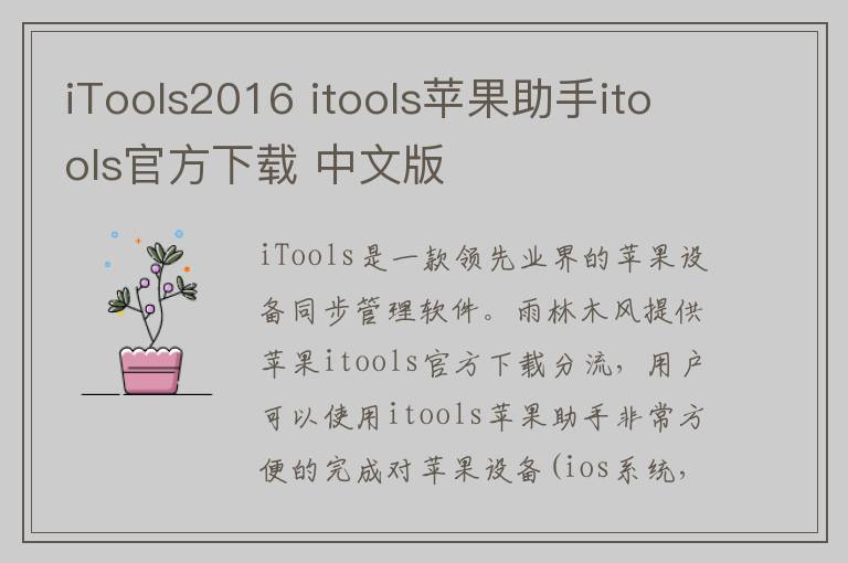 iTools2016 itools苹果助手itools官方下载 中文版