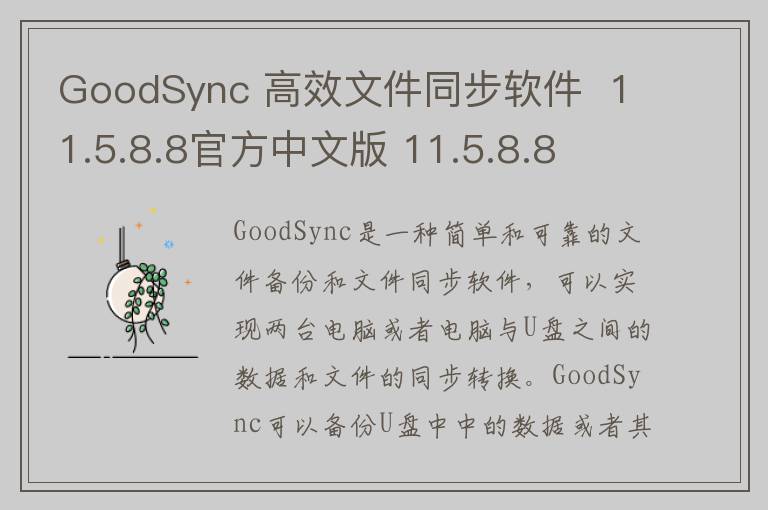 GoodSync 高效文件同步软件  11.5.8.8官方中文版 11.5.8.8