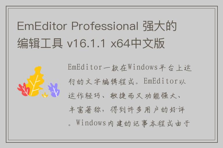 EmEditor Professional 强大的编辑工具 v16.1.1 x64中文版