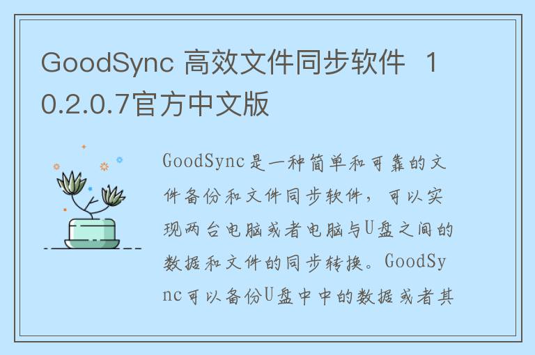 GoodSync 高效文件同步软件  10.2.0.7官方中文版