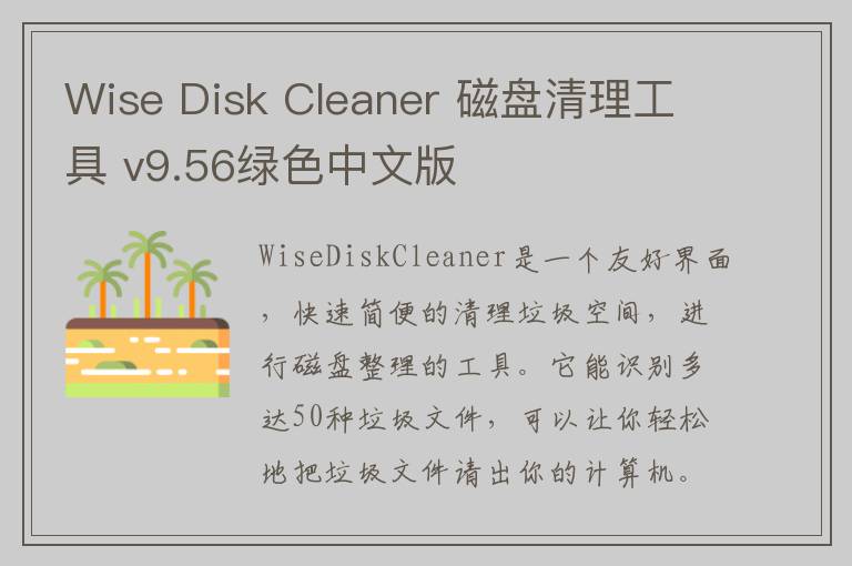 Wise Disk Cleaner 磁盘清理工具 v9.56绿色中文版