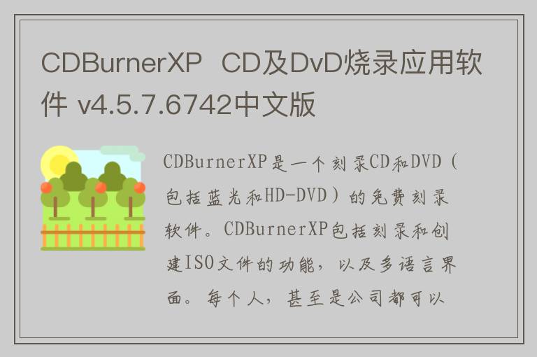 CDBurnerXP  CD及DvD烧录应用软件 v4.5.7.6742中文版