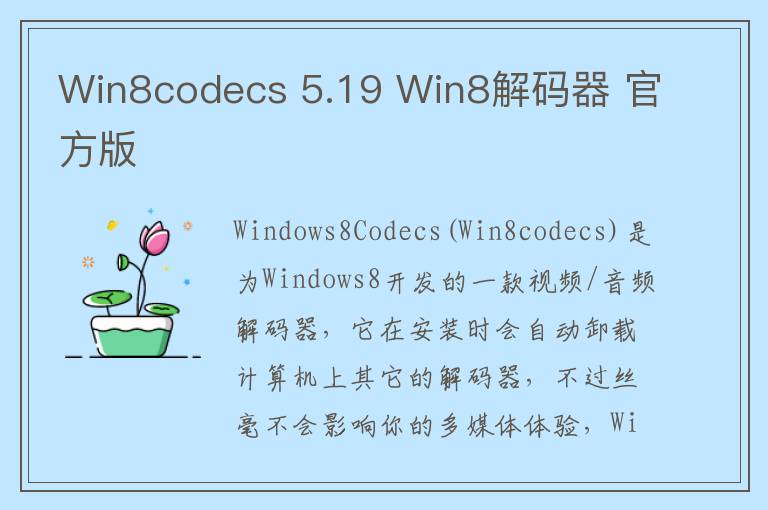 Win8codecs 5.19 Win8解码器 官方版
