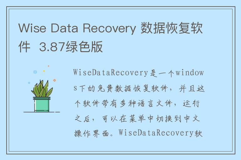 Wise Data Recovery 数据恢复软件  3.87绿色版