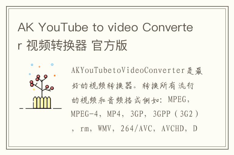 AK YouTube to video Converter 视频转换器 官方版
