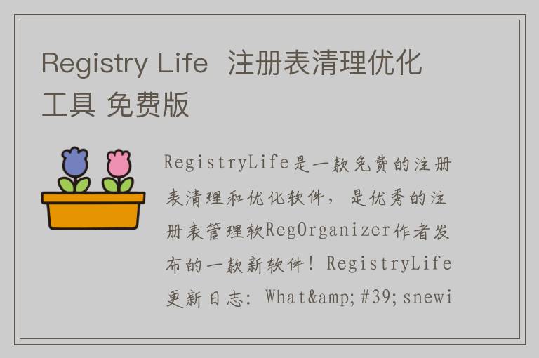 Registry Life  注册表清理优化工具 免费版