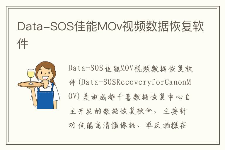 Data-SOS佳能MOv视频数据恢复软件