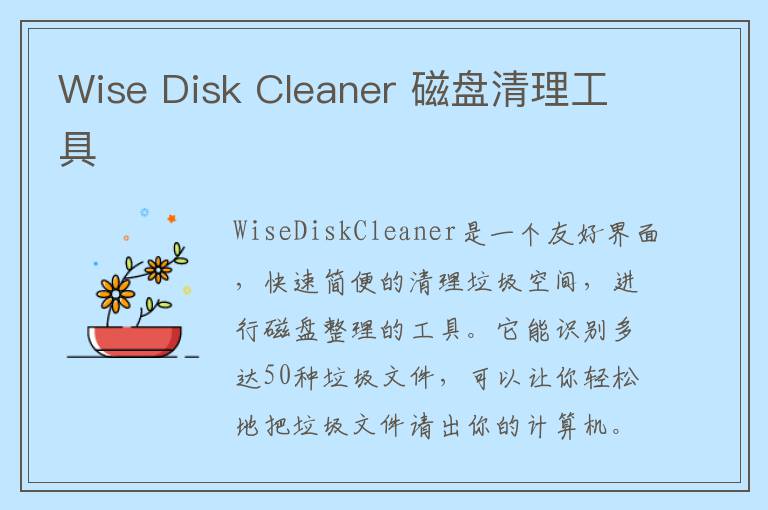 Wise Disk Cleaner 磁盘清理工具