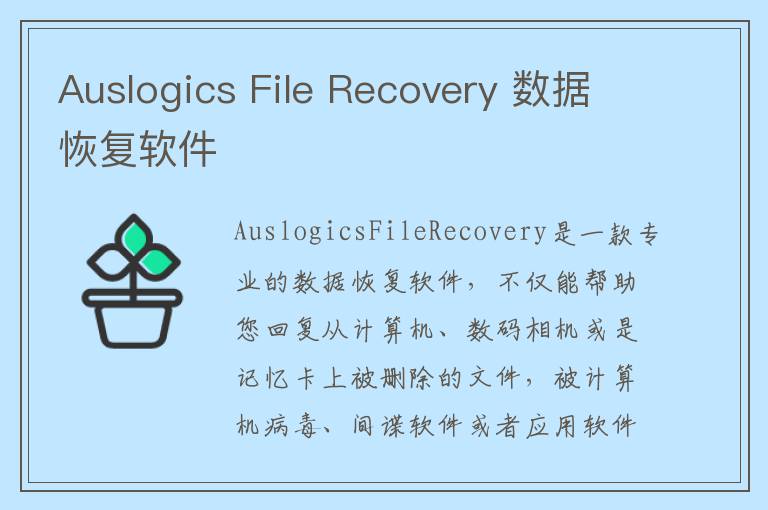 Auslogics File Recovery 数据恢复软件