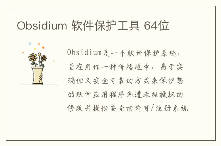 Obsidium 软件保护工具 64位