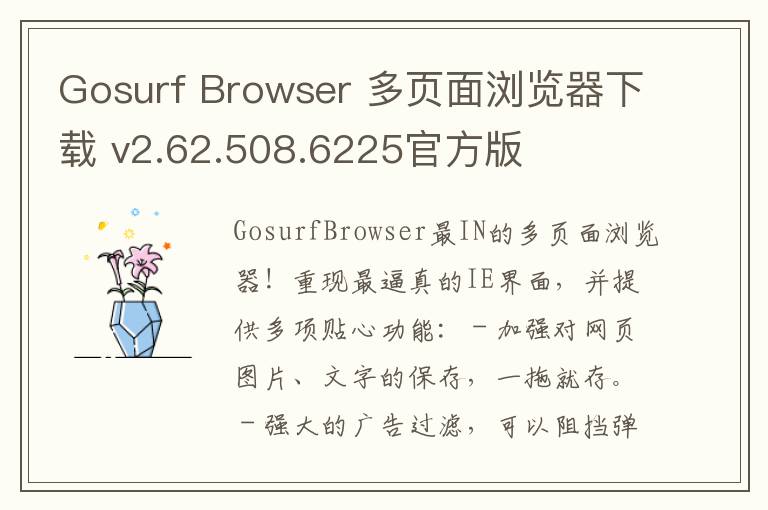 Gosurf Browser 多页面浏览器下载 v2.62.508.6225官方版