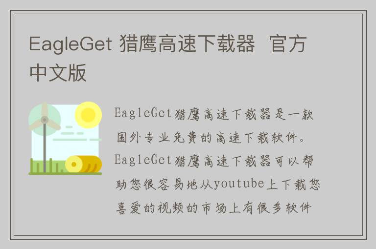 EagleGet 猎鹰高速下载器  官方中文版
